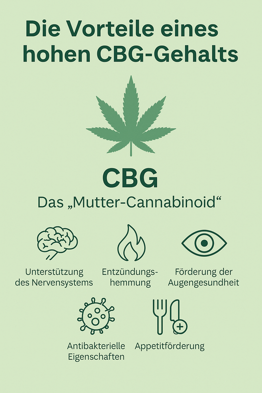 🌿 Cannabis bei innerlicher Unruhe – Natürliche Unterstützung für mehr Balance - Hempster Espana