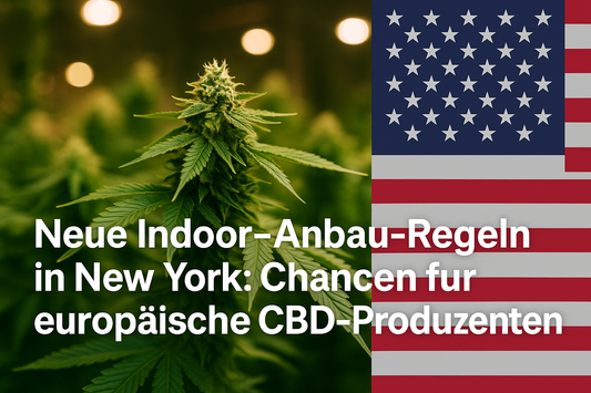 Neue Indoor-Anbau-Regeln in New York öffnen Türen für lokale Produzenten – Impulse auch für Europa