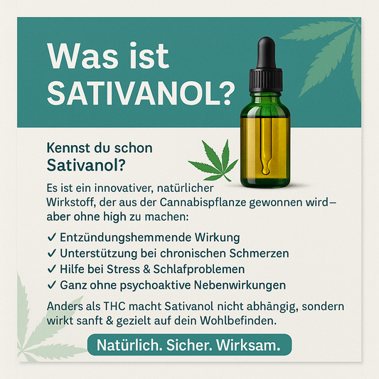 🌿 Sativanol: Der neue Wirkstoff in unseren Vapes, Hash und Blüte - Hempster Espana