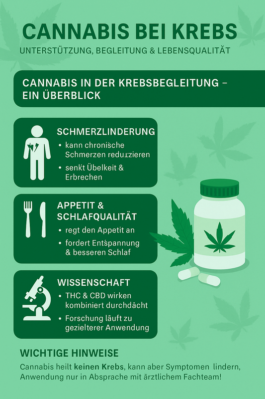 🌿 Cannabis bei Krebs – Unterstützung, Begleitung & Lebensqualität - Hempster Espana
