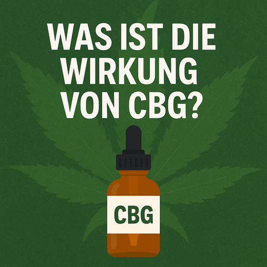 🌿 Was ist CBG? Wirkung, Vorteile & Unterschiede zu CBD - Hempster Espana