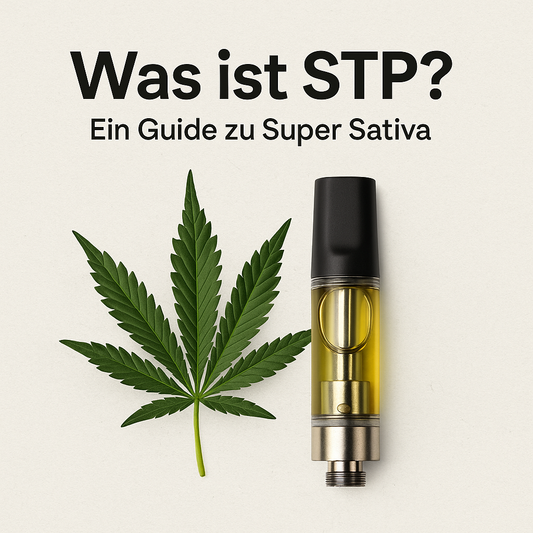 🌿 Was ist STP? – Ein Guide zu Super Sativa - Hempster Espana