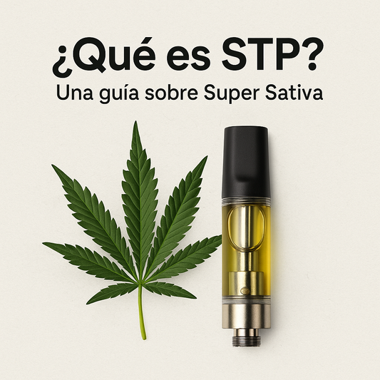 🌿 ¿Qué es STP? – Una guía sobre Super Sativa - Hempster Espana