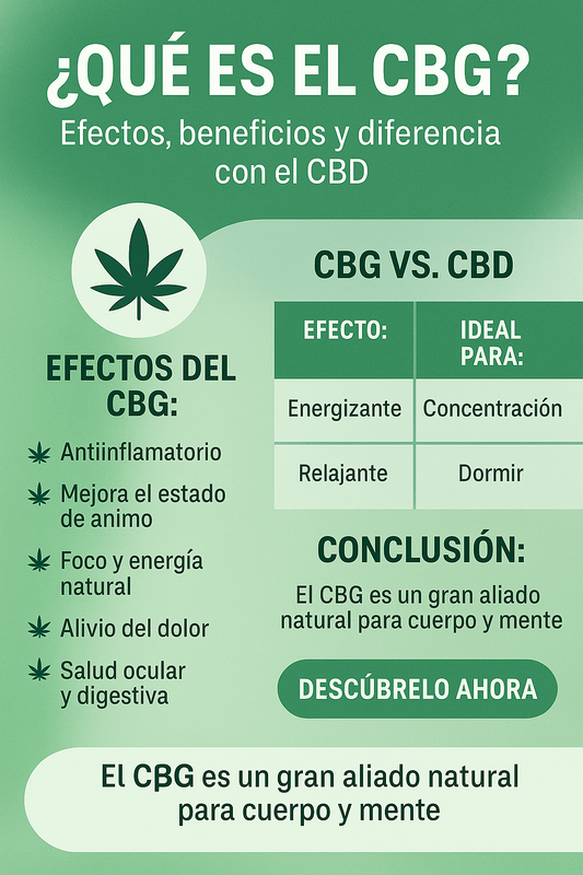 🌿 ¿Qué es el CBG? Efectos, beneficios y diferencia con el CBD - Hempster Espana