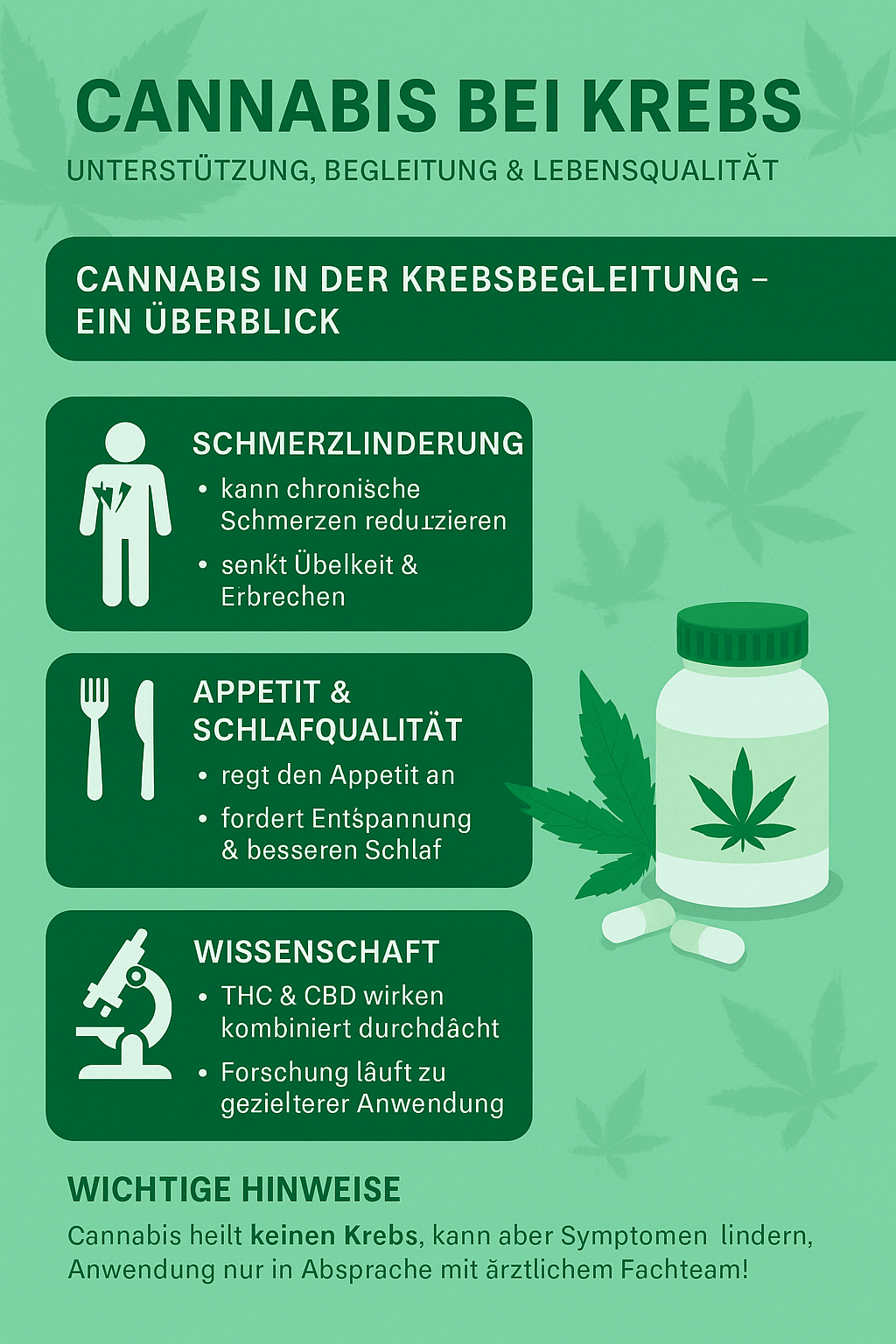 🌿 Cannabis bei Krebs – Unterstützung, Begleitung &amp; Lebensqualität - Hempster Espana
