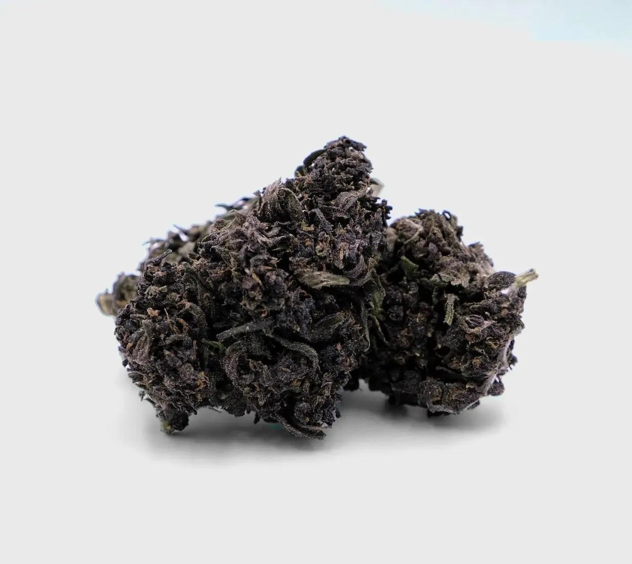 Purple Haze - STP Edition